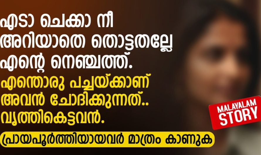 18 വയസുപോലും തികയാത്ത ആൺകുട്ടിക്ക് പ്രായമായ യുവതിയോട് പ്രണയം.. പിന്നീട് സംഭവിച്ചത് കണ്ടോ..