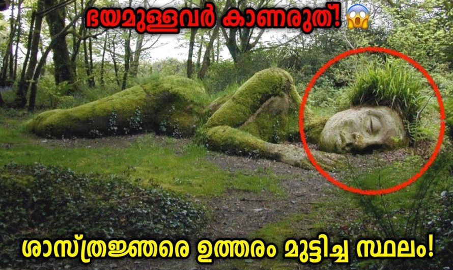 ഹിമാലയത്തിലെ മഞ്ഞുമലകളിൽ വസിക്കുന്ന എതി എന്ന മഞ്ഞ് മനുഷ്യൻ..