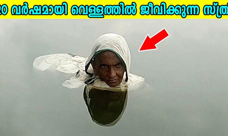 വിചിത്രമായ സ്ഥലങ്ങളിൽ വീട് കെട്ടി താമസിക്കുന്ന അപൂർവരായ മനുഷ്യർ..