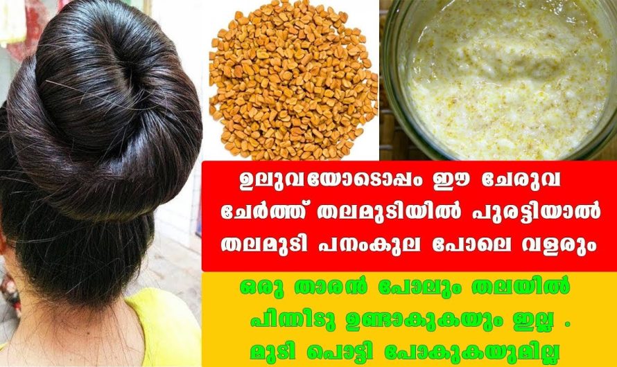 ഈയൊരു ഹെയർ മാസ്ക് ഉപയോഗിച്ചാൽ മതി മുടിയുടെ എല്ലാ പ്രശ്നങ്ങളും പരിഹരിക്കാം..