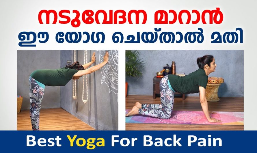 ബാക്ക് പെയിൻ കാരണം ബുദ്ധിമുട്ടുന്നവർ ആണോ നിങ്ങളെങ്കിൽ ഈ വീഡിയോ കാണാതെ പോകരുത്..