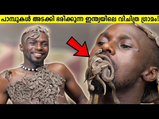 പാമ്പുകളെ ദൈവങ്ങളായി കണ്ട് ആരാധിക്കുന്ന മഹാരാഷ്ട്രയിലെ ഗ്രാമം..