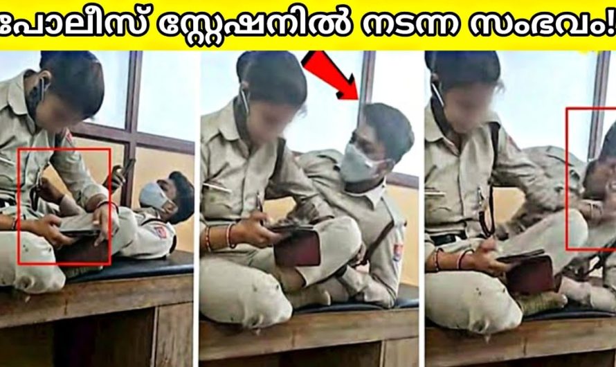 മനുഷ്യർ കാണിച്ചു കൂട്ടിയ മണ്ടത്തരങ്ങൾ വീഡിയോയിൽ പതിഞ്ഞപ്പോൾ സംഭവിച്ചത്..