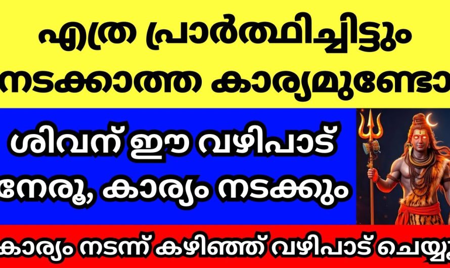 എത്ര നടക്കാത്ത ആഗ്രഹവും ഈ ഒരൊറ്റ വഴിപാട് ചെയ്താൽ നടക്കും..
