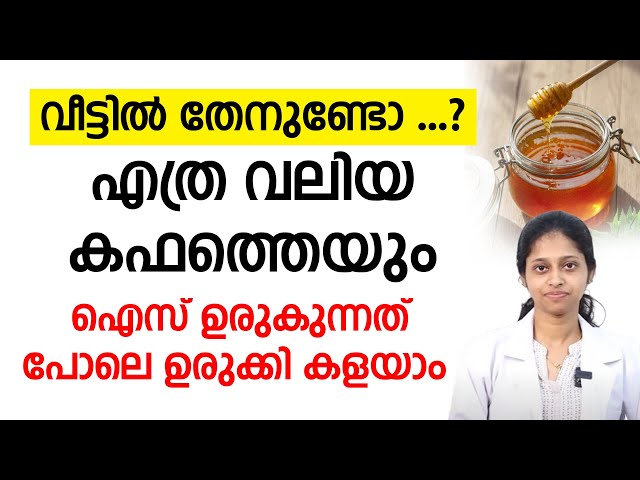 ഈ ഒരൊറ്റ മാർഗ്ഗം മനസ്സിലാക്കിയാൽ കഫക്കെട്ട് ഈസിയായി പരിഹരിക്കാം..