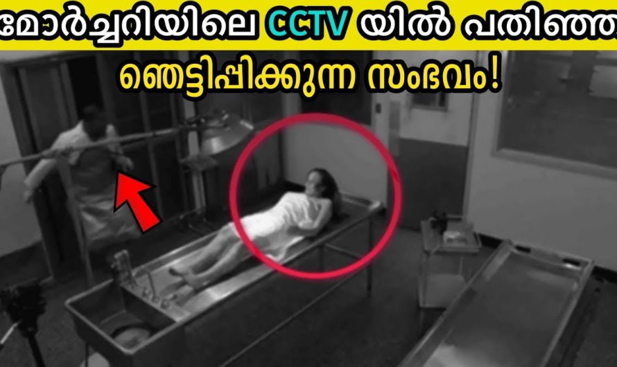 ഈ ഒരൊറ്റ വീഡിയോ കണ്ടാൽ ഭൂമിയിൽ പ്രേതം ഉണ്ടോ ഇല്ലയോ എന്ന് അറിയാം..
