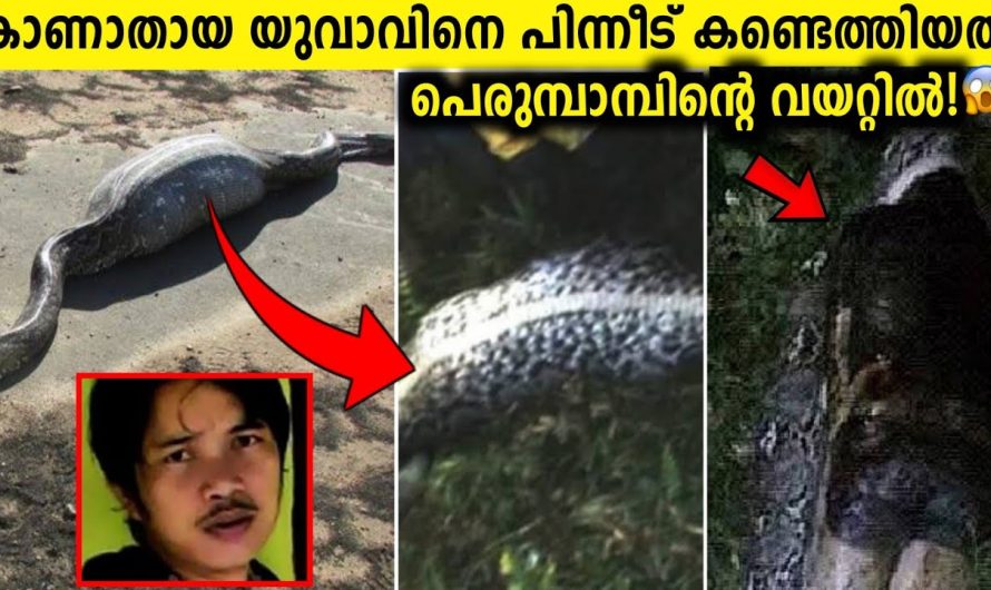 25 വയസ്സുള്ള യുവാവിനെ ഒരു പെരുമ്പാമ്പ് വിഴുങ്ങിയ കഥ..