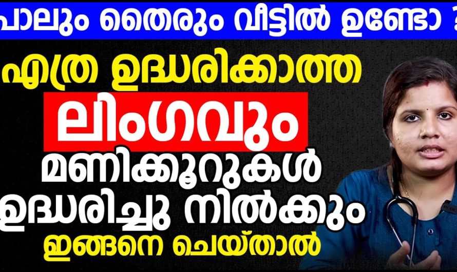 ശീ.ക്ര..സ്ക..ല..നം ഉദ്ധാ…ര..ണക്കുറവ് എന്നീ പ്രശ്നങ്ങൾക്കുള്ള കാരണങ്ങളും പരിഹാരമാർഗ്ഗങ്ങളും..