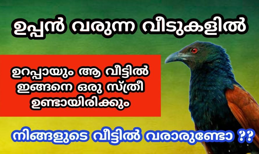 വീട്ടിൽ ഇടയ്ക്കിടയ്ക്ക് ഉപ്പൻ പക്ഷി വരാറുണ്ടെങ്കിൽ ശ്രദ്ധിക്കുക..