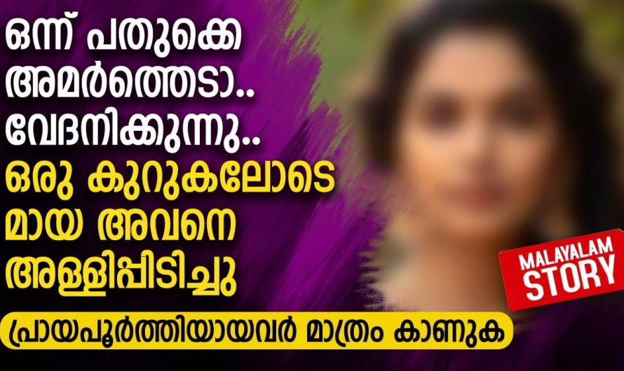 സ്വന്തം കാമുകിക്ക് വേണ്ടി ഭാര്യയെ ഒഴിവാക്കാനായി ഭർത്താവ് ചെയ്തതു കണ്ടോ..