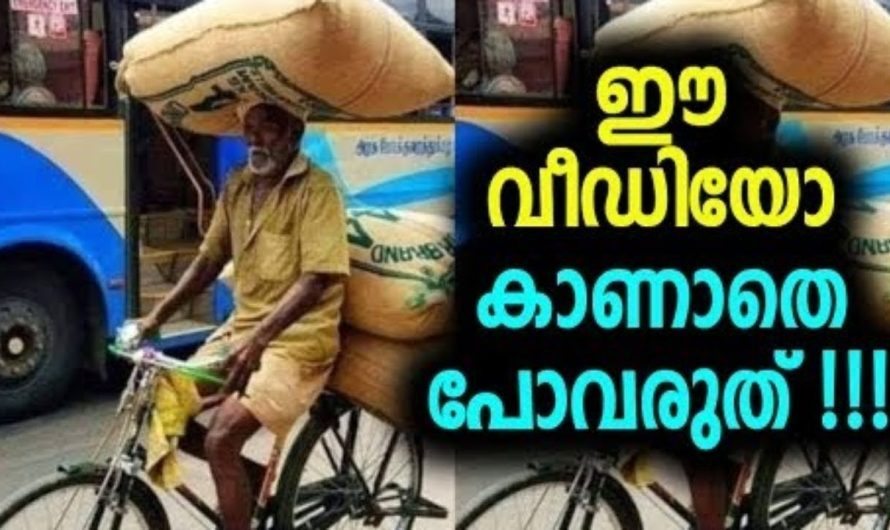 ഈ പ്രായത്തിലും തൻറെ കുടുംബത്തിനുവേണ്ടി അധ്വാനിക്കുന്ന ഈ ചേട്ടനെ കണ്ടോ..
