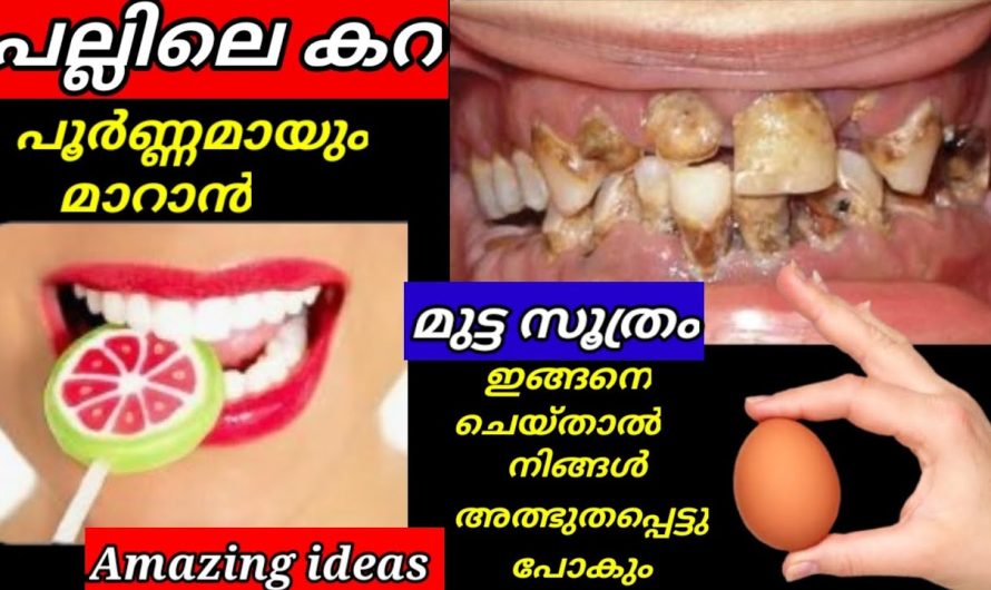 പ്ലാസ്റ്റിക് ബോട്ടിൽ ഉണ്ടോ കയ്യിൽ എങ്കിൽ ഒരു അടിപൊളി ടിപ്സ് പരിചയപ്പെടാം..
