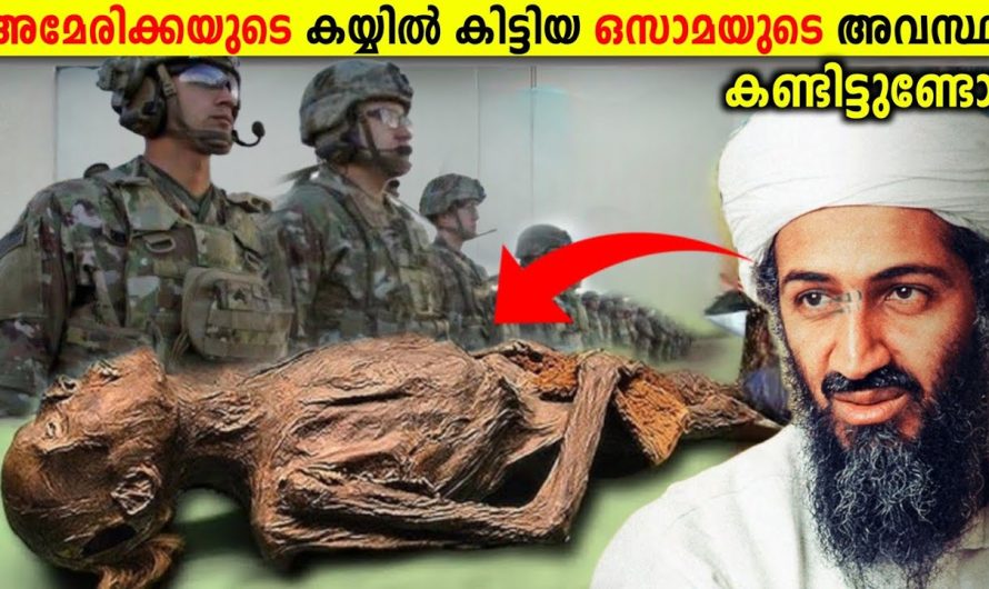 അമേരിക്ക കൊടും കു.റ്റ.വാ.ളി.യായ ഒസാമ യെ വധിച്ചത് ഇങ്ങനെ..