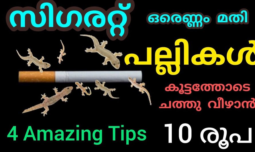 ഒരുപാട് ആളുകൾ ചെയ്ത് റിസൾട്ട് കിട്ടിയ അടിപൊളി ടിപ്സ്..