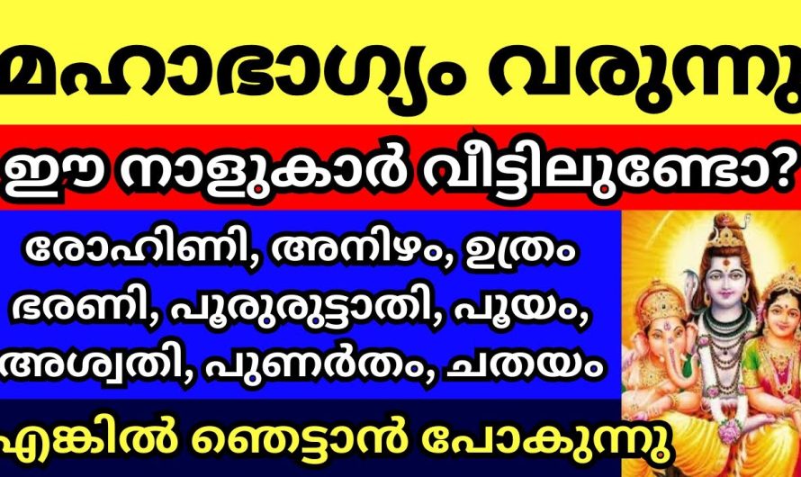 മാതാപിതാക്കളുടെ ജീവിതത്തിലേക്ക് ഭാഗ്യങ്ങൾ കൊണ്ടുവരുന്ന നക്ഷത്രങ്ങൾ..