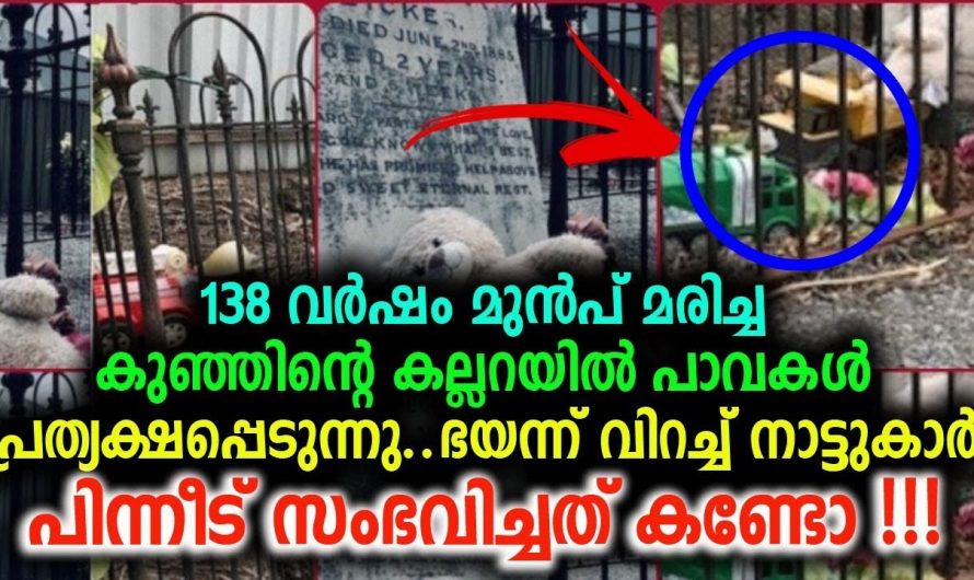 മരിച്ചുപോയ രണ്ടു വയസ്സുകാരന്റെ കല്ലറയ്ക്ക് മുന്നിൽ പ്രത്യക്ഷപ്പെടുന്ന പാവകൾ..