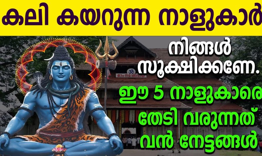 ഈ അഞ്ച് നക്ഷത്രക്കാരെ കാത്തിരിക്കുന്നത് നേട്ടങ്ങളുടെ കാലം..