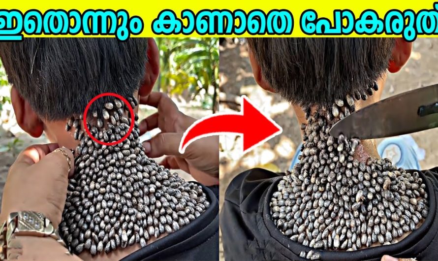 ലോകത്തിലെ വ്യത്യസ്തമായ ജീവികളും അവയുടെ പ്രത്യേകതകളും..