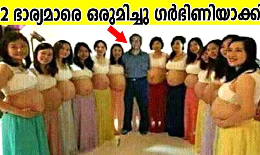ലോകത്തിലെ ഏറ്റവും വലിയ കുടുംബത്തെക്കുറിച്ച് കേട്ടാൽ നിങ്ങൾ ഞെട്ടും..