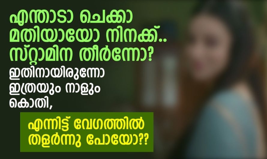 എന്താടാ ചെക്കാ മതിയായോ നിനക്ക്‌, സ്റ്റാമിന തീർന്നോ?