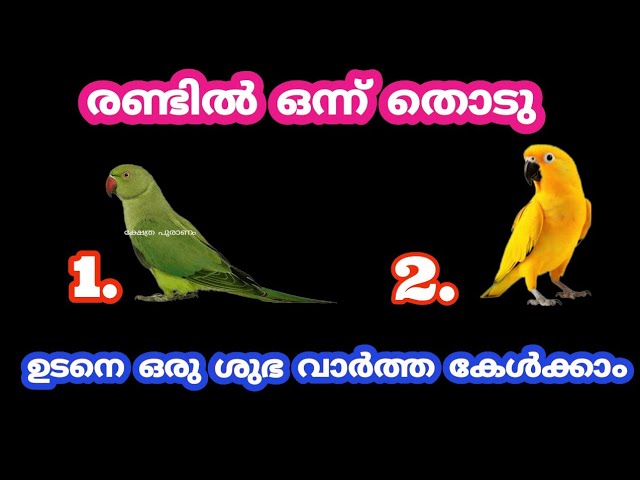 ഈ രണ്ടു ചിത്രങ്ങളിൽ ഒരെണ്ണം തെരഞ്ഞെടുക്കൂ വരാൻ പോകുന്ന സൗഭാഗ്യങ്ങളെക്കുറിച്ച് മനസ്സിലാക്കാം..