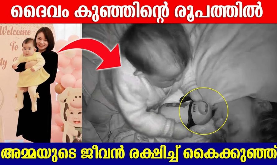മാതാപിതാക്കളെ വയസ്സാകുമ്പോൾ ഉപേക്ഷിക്കുന്ന മക്കൾ ഈ വീഡിയോ തീർച്ചയായും കാണണം..