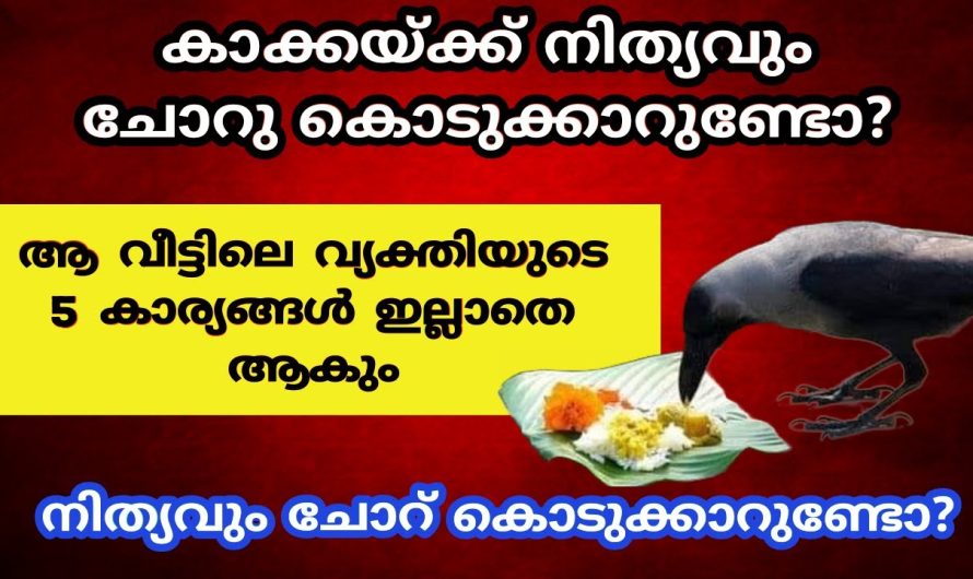 കാക്കകൾക്ക് ഒരു നേരം എങ്കിലും ആഹാരം കൊടുത്താൽ ജീവിതത്തിൽ സംഭവിക്കുന്നത്..