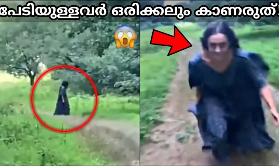 വിചിത്രവും അതിലുപരി നമ്മളെ ഭയപ്പെടുത്തുകയും ചെയ്യുന്ന ഇൻറർനെറ്റിലെ ചില വീഡിയോകൾ..