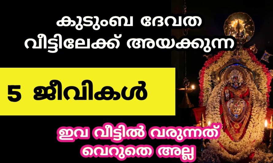 കുടുംബ ദേവതയുടെ അനുഗ്രഹം ഇല്ലെങ്കിൽ ജീവിതത്തിൽ സംഭവിക്കുന്നത്..