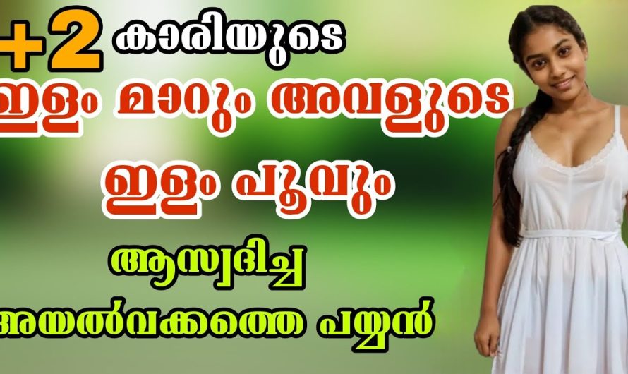 ഒരു റിസൾട്ട് നോക്കിയ അനുഭവം