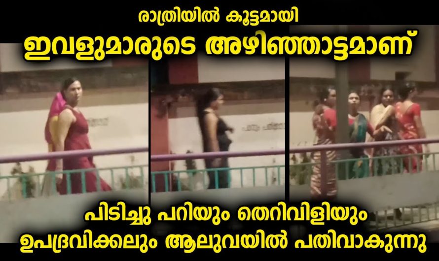 ഇവർ കാണിച്ചു കൂട്ടുന്നത് അധികാരികൾ ശ്രദ്ധിക്കുന്നത് നന്നാവും