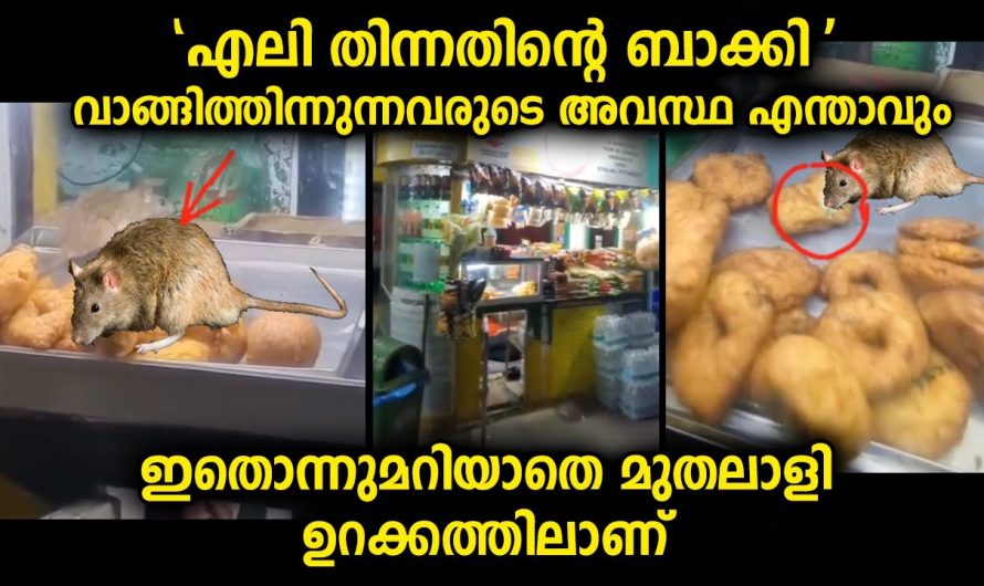 ഇത് വാങ്ങിക്കഴിക്കുന്നവരുടെ അവസ്‌ഥ എന്താവും