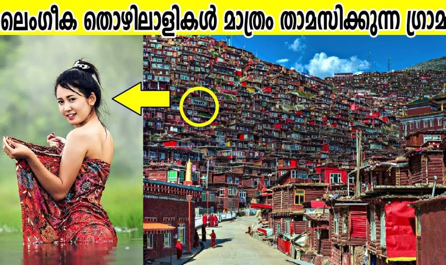ലൈം…ഗീ….ക തൊഴിലാളികൾ മാത്രം താമസിക്കുന്ന ഗ്രാമം