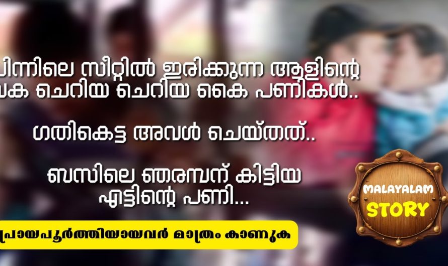 ബസിലെ ഞരമ്പന് കിട്ടിയ എട്ടിന്റെ പണി