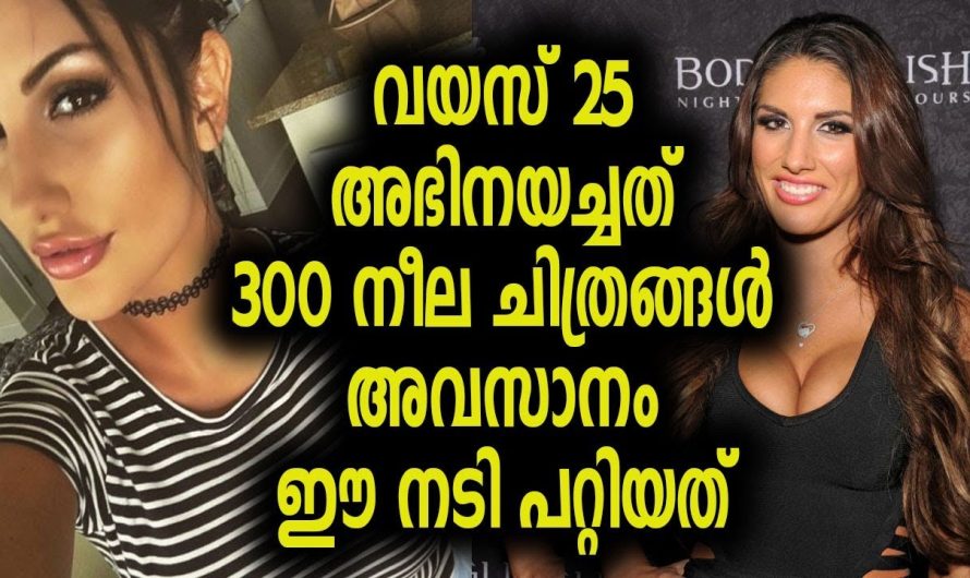 വയസ് 25 അഭിനയച്ചത് 300 നീ….ല ചിത്രങ്ങൾ അവസാനം ഈ നടി പറ്റിയത്