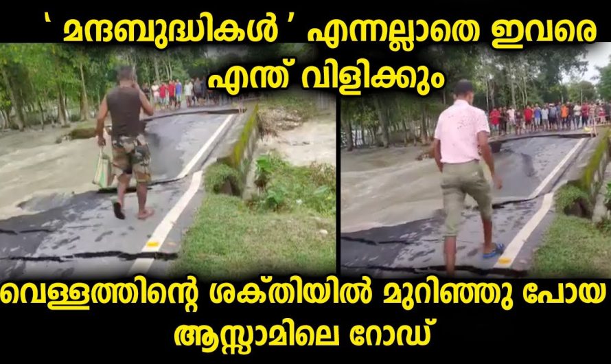 എല്ലാ നാട്ടിലുമുണ്ടാകും ഇങ്ങനെ കുറെ എന്ത് വന്നാലും പോയിട്ട് അത്യാവശ്യമുള്ള ആളുകൾ