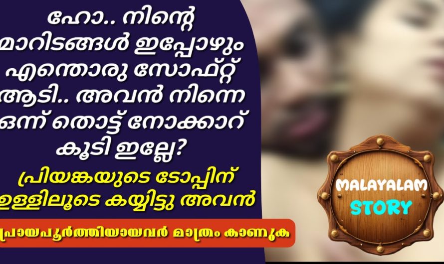 ഹോ.. എന്തൊരു സോഫ്റ്റ്‌ ആടി.. പ്രിയങ്കയുടെ ടോപ്പിന് ഉള്ളിലൂടെ കയ്യിട്ടു അവൻ