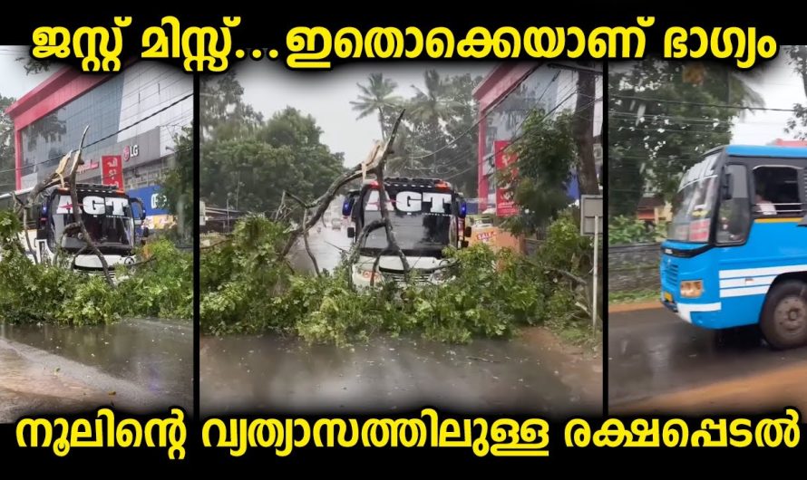 ജസ്റ്റ് മിസ്സ് എന്നൊക്കെപ്പറയുന്നത് ഇതാണ് , രണ്ട് വാഹനങ്ങളും വലിയ കുഴപ്പമില്ലാതെ രക്ഷപ്പെട്ടു