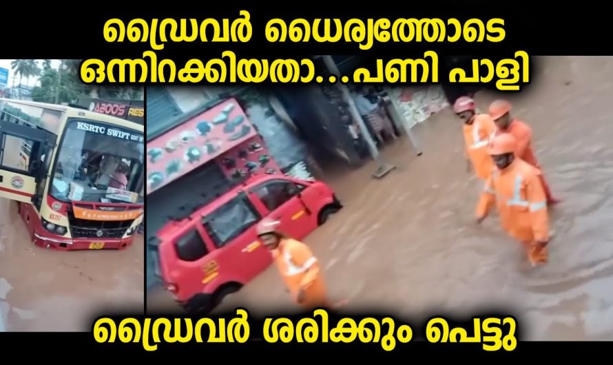 ധൈര്യം കാണിച്ചു പോകാൻ നോക്കിയ ഡ്രൈവർക്ക് പണി കിട്ടി, ഇനി ജോലിയെ ബാധിക്കുമോ കണ്ടറിയാം