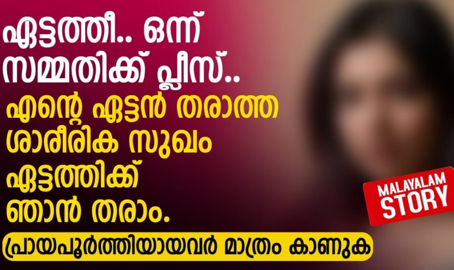 ഏട്ടൻ തരാത്ത ശാ.രീ.രി.ക. സുഖം ഏട്ടത്തിക്ക് ഞാൻ തരാം
