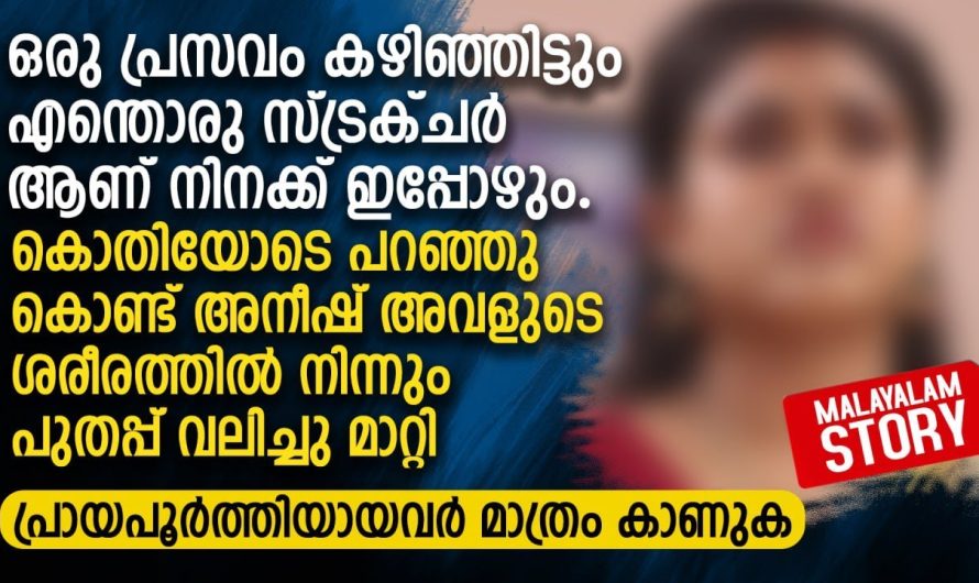 ഒരു പ്ര..സ..വം കഴിഞ്ഞിട്ടും എന്തൊരു സ്ട്രക്ചർ ആണ്