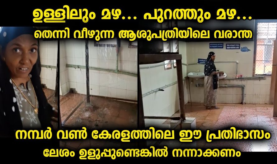 ഇതൊക്കെ നോക്കാനും നന്നാക്കാനും ഇതിനായുള്ള അധികാരികൾ നമ്മുടെ നാട്ടിൽ ഇല്ലേ