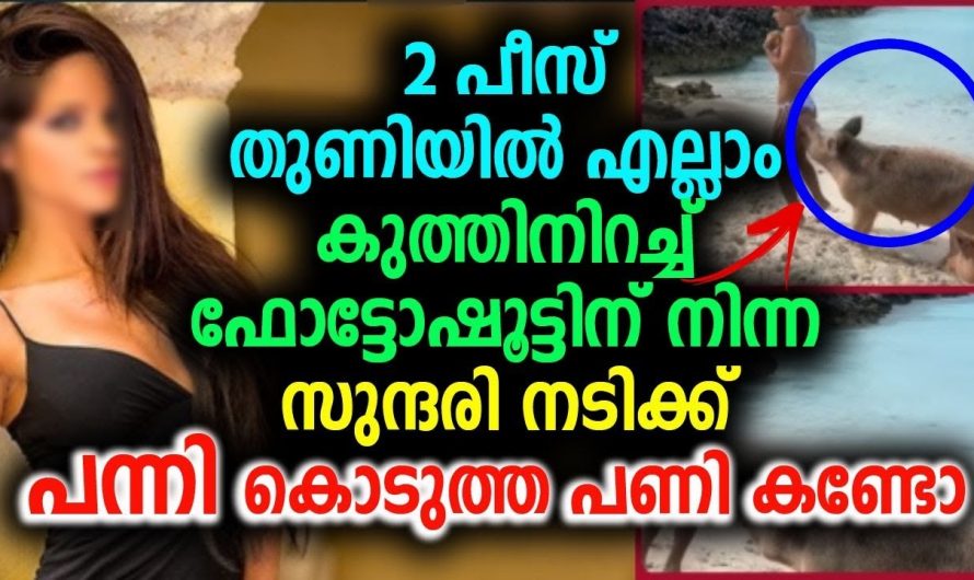 2 പീസ് തുണിയിൽ എല്ലാം കുത്തിനിറച്ച് ഫോട്ടോഷൂട്ടിന് നിന്ന സുന്ദരി നടിക്ക് പന്നി കൊടുത്ത പണി