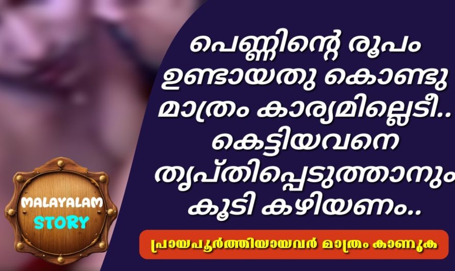 പെണ്ണിന്റെ രൂപം ഉണ്ടായതു കൊണ്ടു മാത്രം കാര്യമില്ലെടീ.. കെട്ടിയവനെ തൃപ്തിപ്പെടുത്താനും കൂടി കഴിയണം