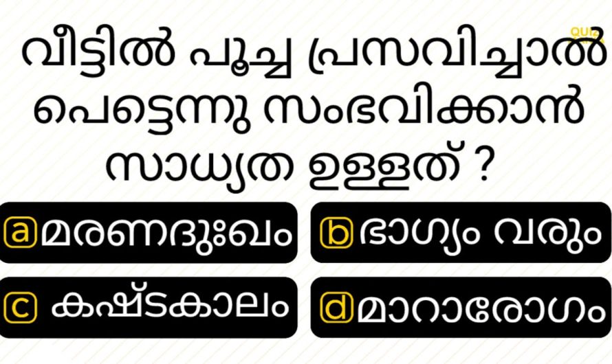 മലയാളം ക്വിസ്