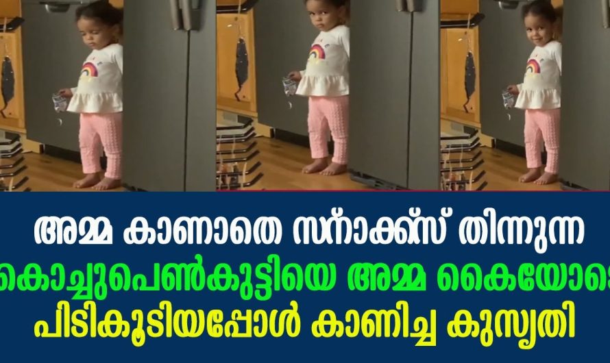 സ്‌നാക്ക്‌സ് തിന്നുന്ന കൊച്ചുപെണ്‍കുട്ടിയെ അമ്മ കൈയോടെ പിടിച്ചപ്പോള്‍