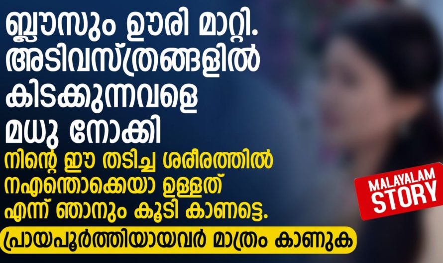ഈ തടിച്ച ശരീരത്തിൽ എന്തൊക്കെയാ ഉള്ളത് എന്ന് ഞാനും കൂടി കാണട്ടെ