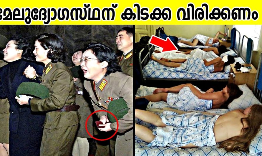 ക്രൂ..ര..മായ കൊറിയൻ നിയമങ്ങൾ