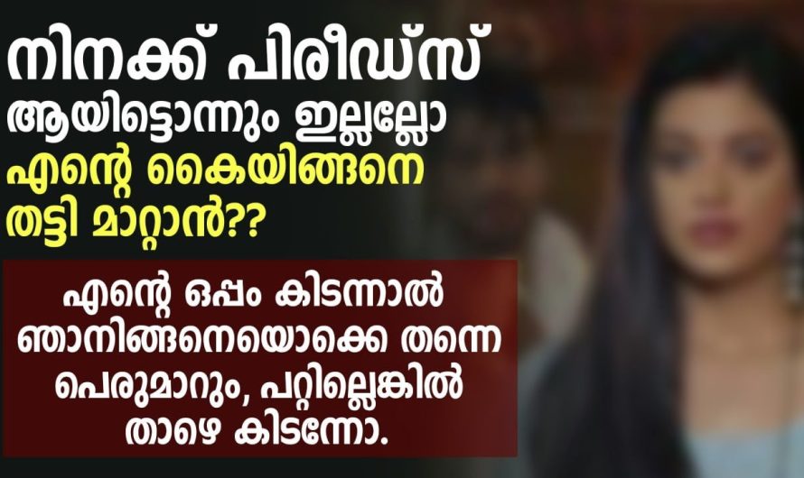 നിനക്ക് ആയിട്ടൊന്നും ഇല്ലല്ലോ എന്റെ കൈയിങ്ങനെ തട്ടിമാറ്റാൻ