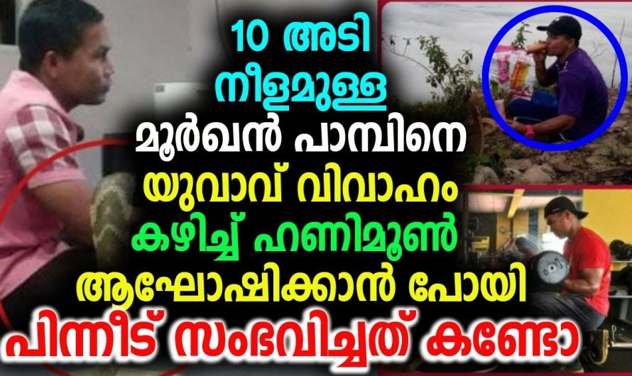 ഹണിമൂൺ മൂർഖൻ പാമ്പിനൊപ്പം … എന്താല്ലേ സുഖം